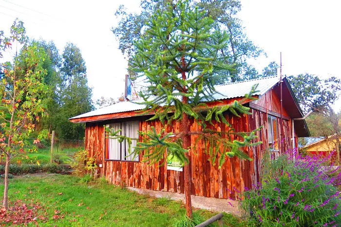 Cabaña 4